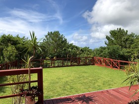 Tingamui