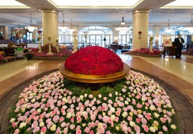 Hotel Europe