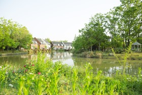 Forest Villa