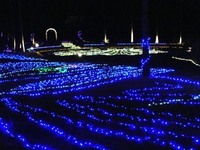Saikaibashi Corazon
