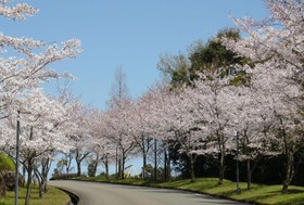 Satsuma Resort Hotel