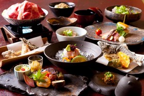 Shukubo Kawaseminoshou - The Kingfisher Resort
