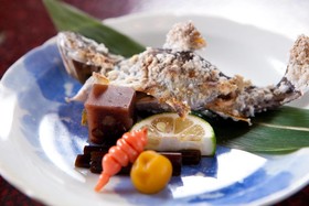Shukubo Kawaseminoshou - The Kingfisher Resort