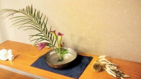Hana No Shizuku