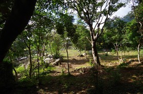 Guest House Views