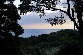 Guest House Views