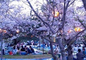 Hotel New Gaea Yanagawa
