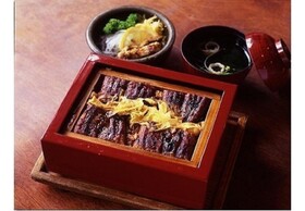 Hotel New Gaea Yanagawa