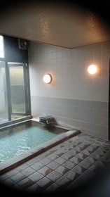 Benikea Yufuin Kinrinko Hotel Museum
