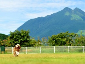 Dogrun & Resort Yufuin Garden Hotel