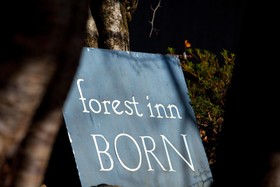 Forest Inn Born