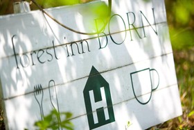 Forest Inn Born