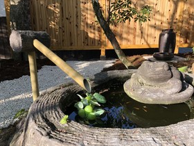 Makibanoie