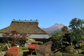 Makibanoie