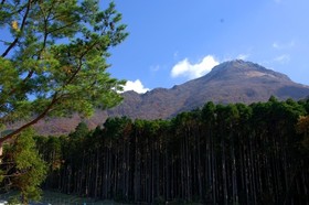 Onjuku YAGURA