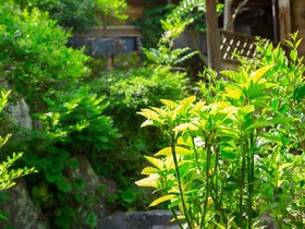 Ryokan Nobiru Sansou