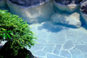 Ryokan Nobiru Sansou