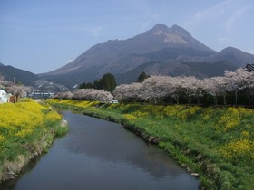 Yufuin Yamaboshi