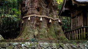 Yufuin Lodge Tabinokura