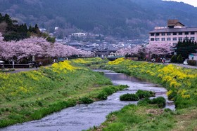 Yufuin Lodge Tabinokura