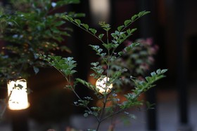 Yufuin Ryoan Wazanho