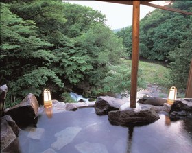 Tateshina Onsen Hotel Shinyu