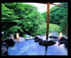 Tateshina Onsen Hotel Shinyu