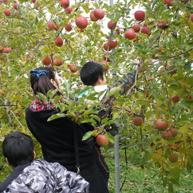Nakasendo Ashida-Shuku Tateshina Akariya