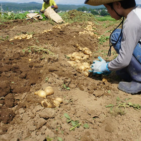 Nakasendo Ashida-Shuku Tateshina Akariya