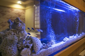 Hotel Atlantis Higashiosaka