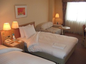 Hotel Lake Alster Alzar Izumiotsu