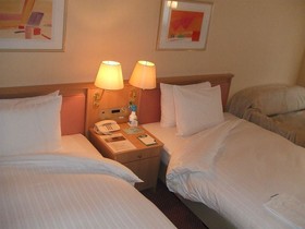 Hotel Lake Alster Alzar Izumiotsu