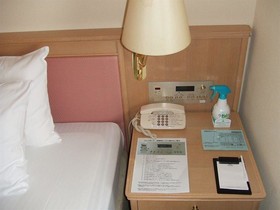 Hotel Lake Alster Alzar Izumiotsu