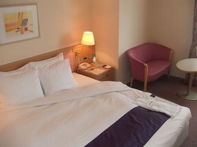 Hotel Lake Alster Alzar Izumiotsu