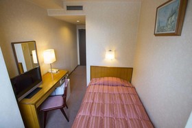 City Hotel Airport In Prince