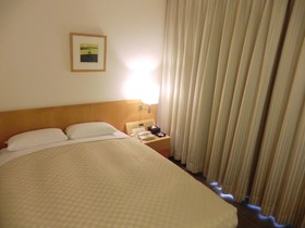 Kansai Airport Washington Hotel
