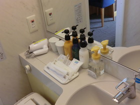 Kansai Airport Washington Hotel