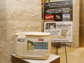 Hotel Sunroute Sopra Kobe Annesso