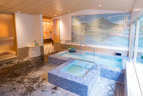 Kobe Arima Onsen Motoyu Ryuusenkaku Hot Spring Resort