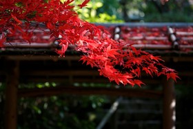 Nakanobo Zuien