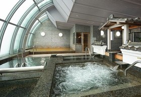 The Gran Resort Princess Arima