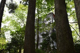 ThinkStay Mt