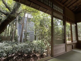 ThinkStay Mt