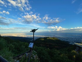 ThinkStay Mt