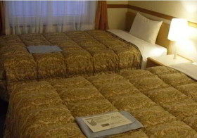 Toyoko Inn Kobe Sannomiya 2
