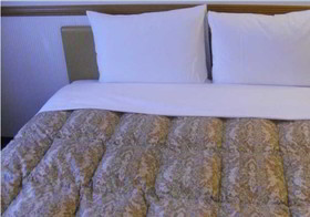 Toyoko Inn Kobe Sannomiya 2