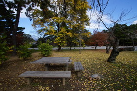 Bird Hostel