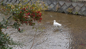 Canal House Takasegawa