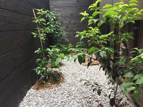 Cotohouse Kyonoyado
