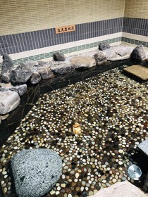 Dormy Inn Premium Kyoto Ekimae